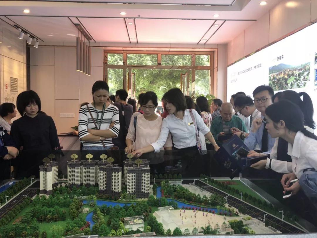 巴馬長壽村樓房多少錢一平米_廣西巴馬長壽村的房價_廣西巴馬長壽村房屋出售