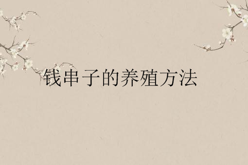 多肉錢串子有毒嗎_錢串子多肉_多肉錢串子的扦插方法