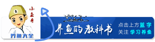 多肉爆芽素_沒有優芽素是怎么讓多肉爆側芽_多肉爆芽素真的有用嗎