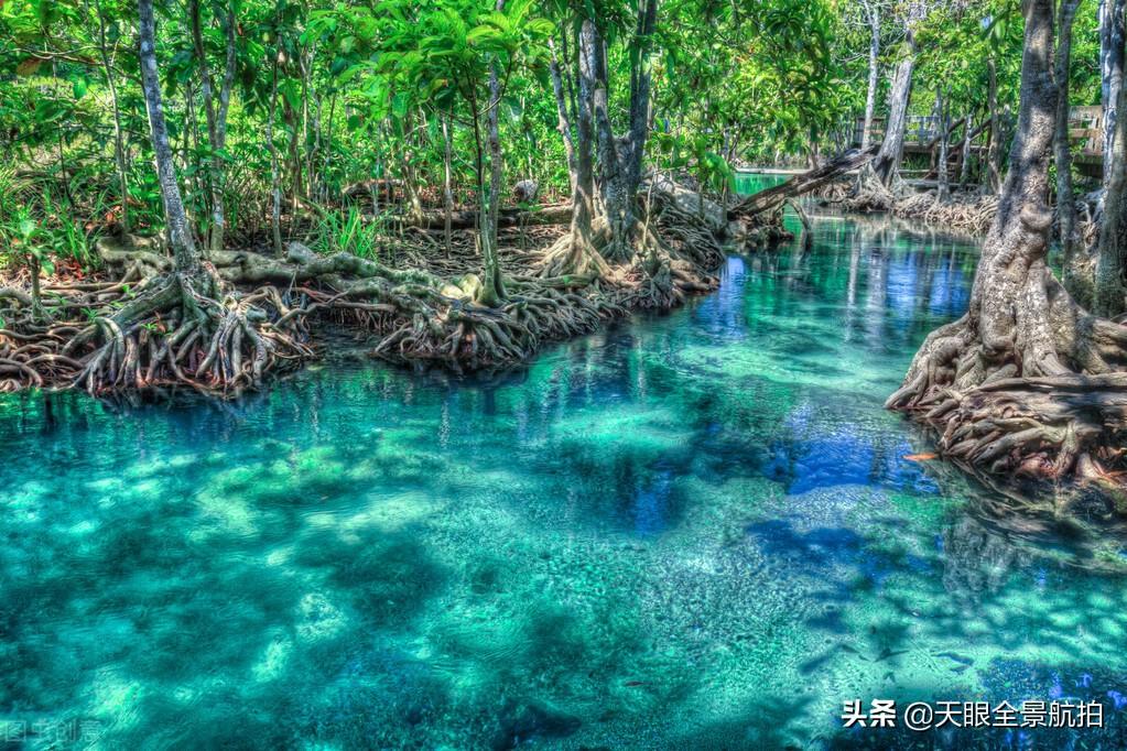 廣州兩天游玩攻略_廣州旅游攻略兩天_廣州兩天旅游