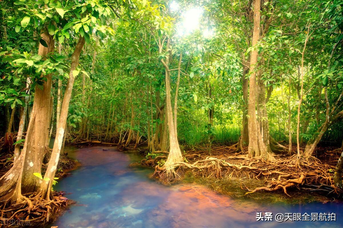 廣州旅游攻略兩天_廣州兩天游玩攻略_廣州兩天旅游