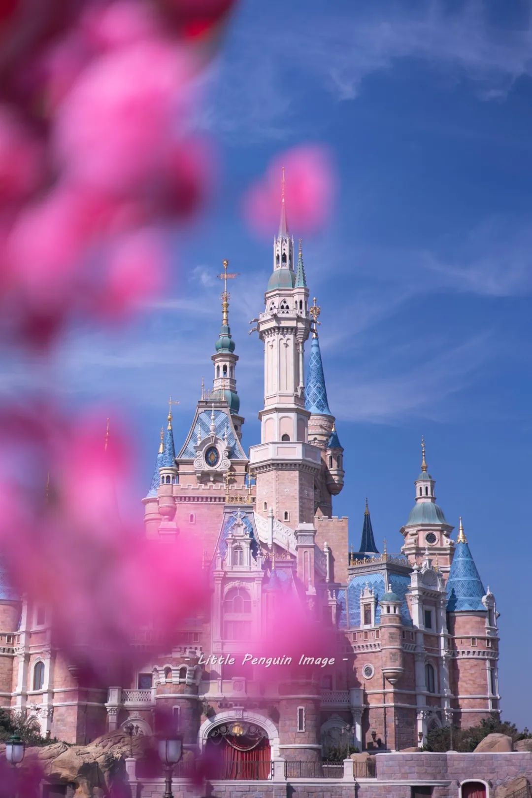 上海迪士尼的旅游攻略_上海旅游迪士尼攻略_2021迪士尼游玩攻略上海