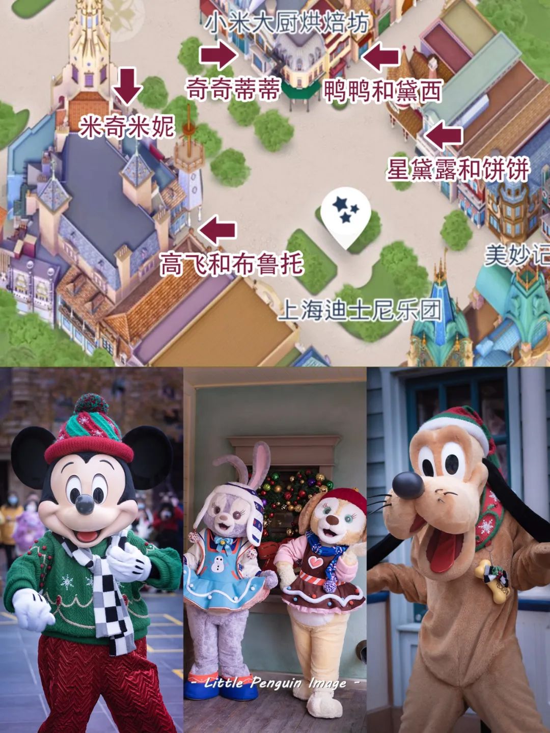 2021迪士尼游玩攻略上海_上海迪士尼的旅游攻略_上海旅游迪士尼攻略