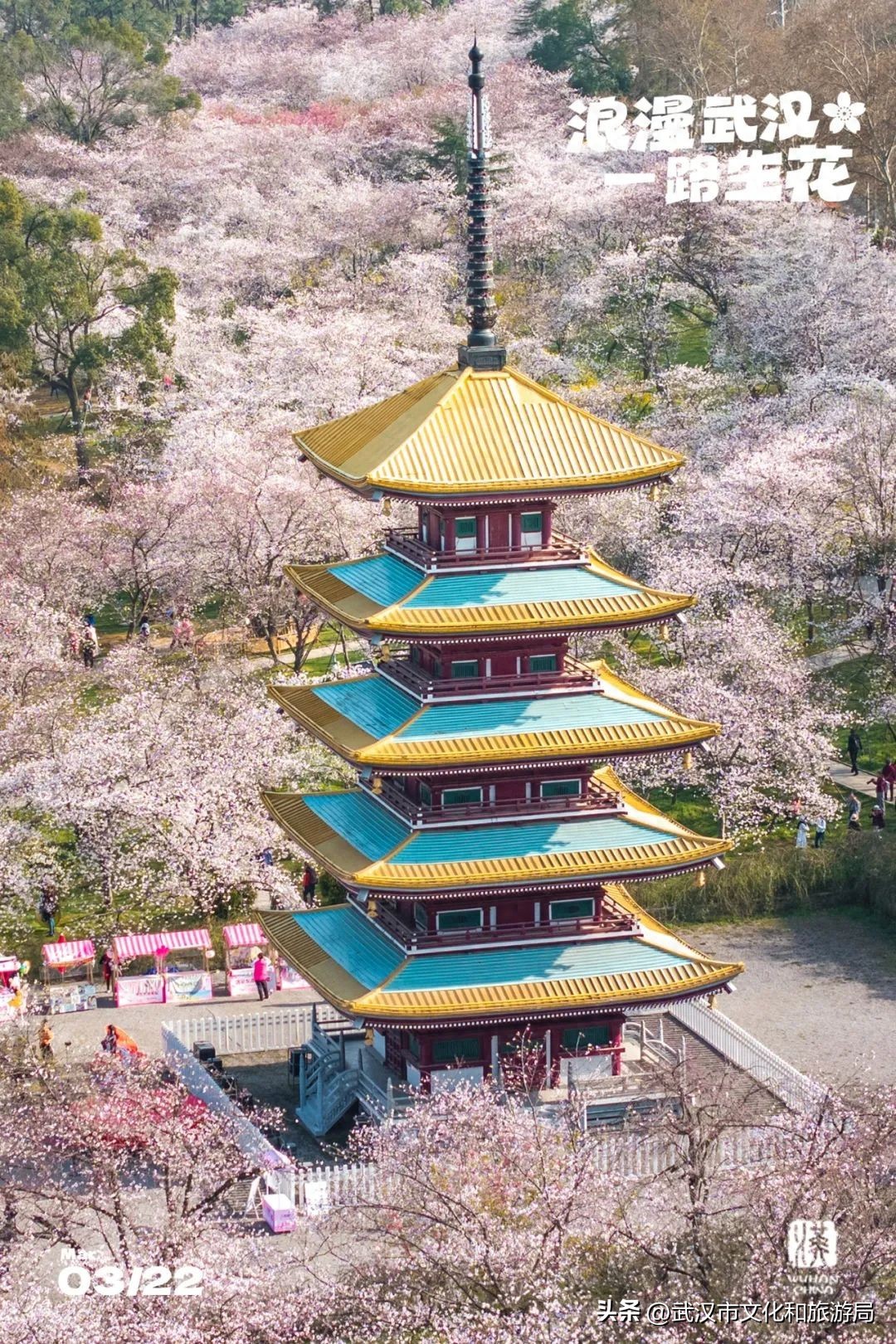 武漢馬拉松東湖綠道封閉_東湖生態旅游風景區游玩攻略_東湖櫻花園賞花時間