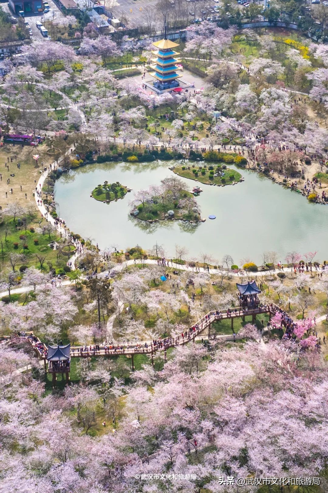 武漢馬拉松東湖綠道封閉_東湖生態旅游風景區游玩攻略_東湖櫻花園賞花時間