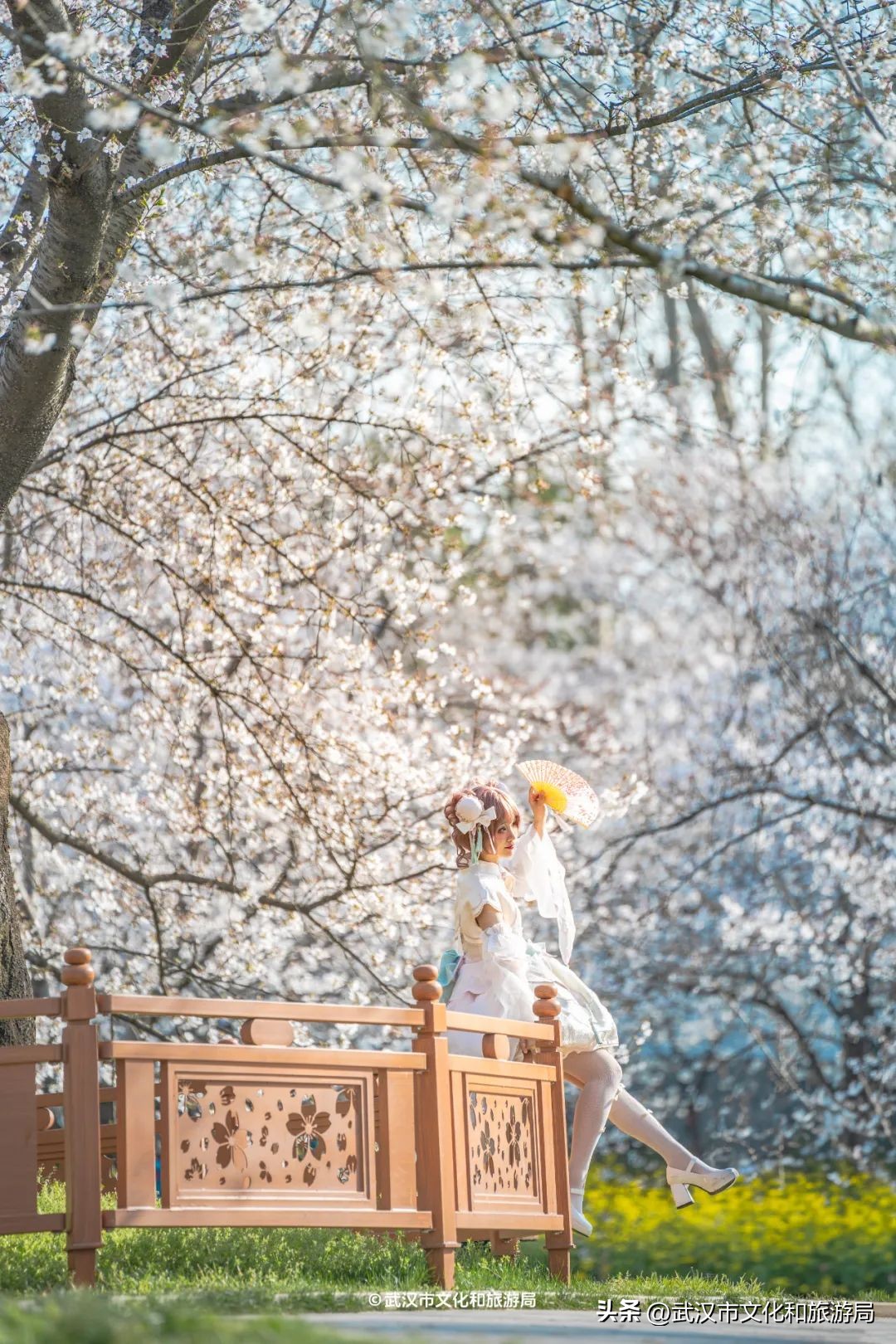 東湖櫻花園賞花時間_東湖生態旅游風景區游玩攻略_武漢馬拉松東湖綠道封閉