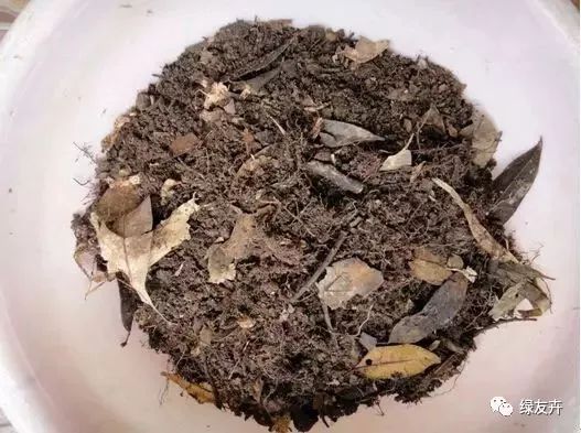 多肉植物土壤種類_多肉植物配土方案_多肉用土配比方法