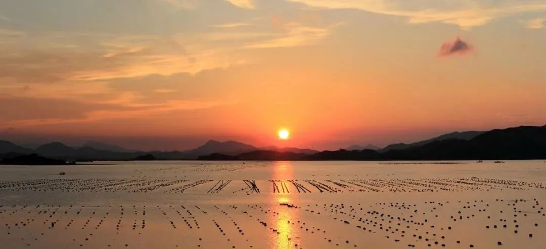 三角洲島旅游攻略_惠州海島旅游_惠州鹽洲島游玩攻略