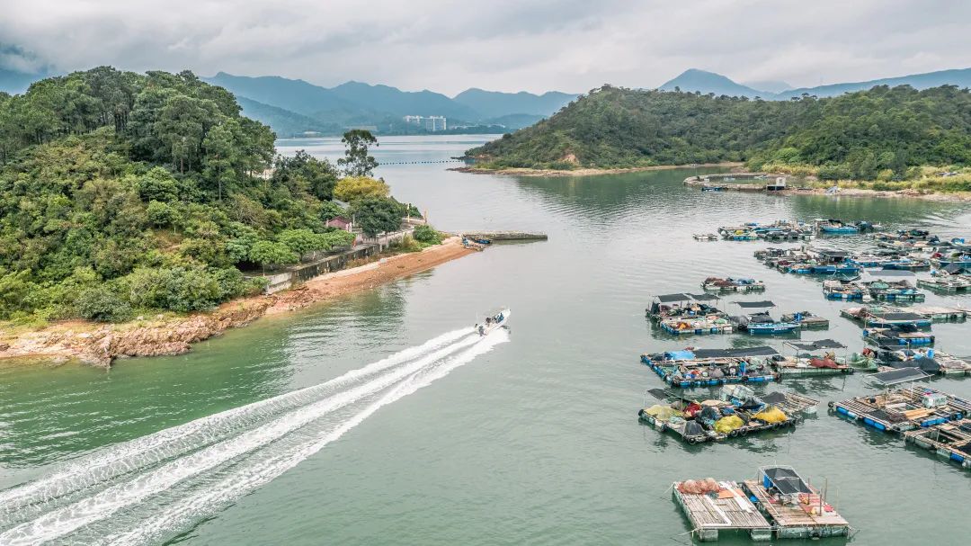 惠州鹽洲島游玩攻略_三角洲島旅游攻略_惠州海島旅游